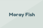 Moray Fish