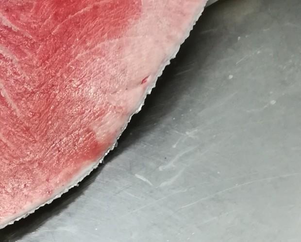 Ventresca. Ventresca atún rojo salvaje fresco de 16kgs