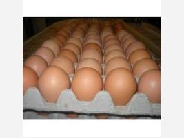 Huevos. Huevos de gallina frescos de granja