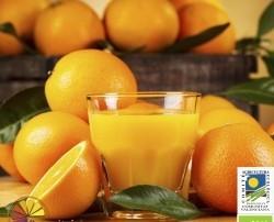 Zumo de Naranjas. Como siempre nuestras naranjas ecológicas tienen el sabor único que les proporciona nuestra tierra