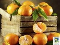 Mandarinas Ecológicas. Sin tratamientos post-cosecha
