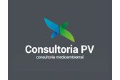 Consultoría PV