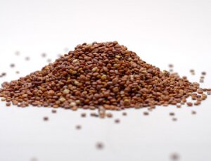 15% de descuento en grano de quinoa roja ecológica