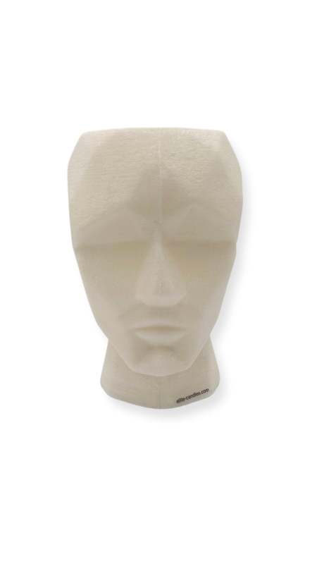 Escultura hueca diseño Geométrico de Cráneo