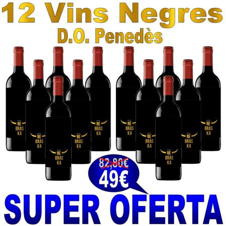 Increíble oferta de 12 Vinos Negros D.O. Penedès