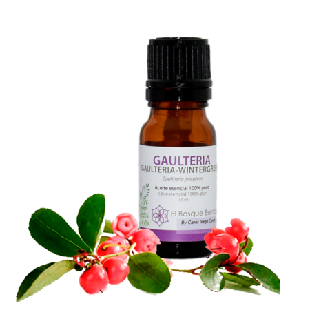 Aceite esencial Gaulteria 100% puro – 10ml