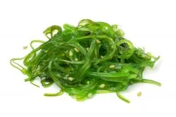 Proveedores de Algas Comestibles