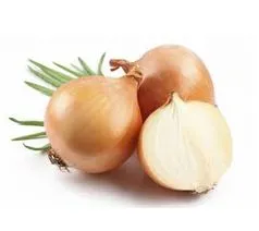 Proveedores de Cebollas en Valencia