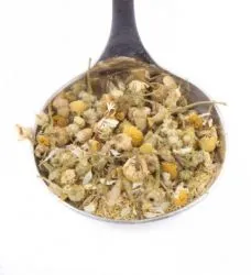 Proveedores de Infusiones Ecológicas