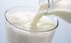 Proveedores de Leche Fresca en Madrid