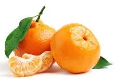 Proveedores de Mandarinas en Vizcaya