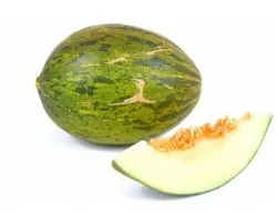 Proveedores de melones