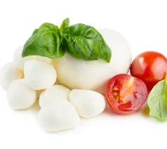 Proveedores de Mozarella