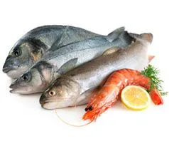 Distribuidores mayoristas de Pescado y Marisco