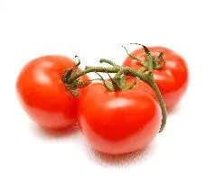 Distribuidores mayoristas de Tomates