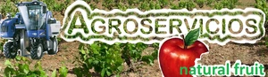 Logo Groservicios Natural Fruit