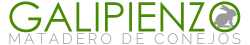 Logo Galipienzo