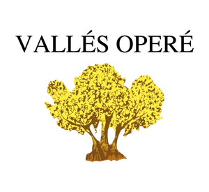 Logo Vallés Operé