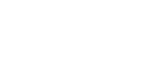 Logo SANYU 2000