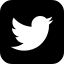 Logo Rize health