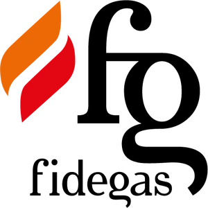 Logo C.A.E. FIDEGAS