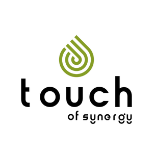 Logo Touch Of Synergy